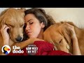 Bachelor Couple Keeps Adopting Golden Retrievers From Korea | The Dodo You Know Me Now Meet My Pet