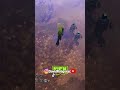 Albion me juntó con malas influencias 💀 #albion #albiononline #gank #ganking #gankeo
