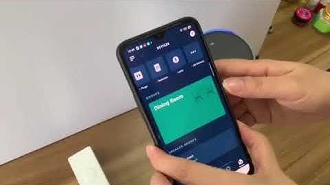 Third Reality Smart Switch pair with Echo Plus