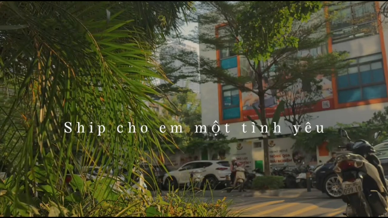 Ship Cho Em Một Tình Yêu – Meow Studio – Vietnamese Lofi Pop - YouTube