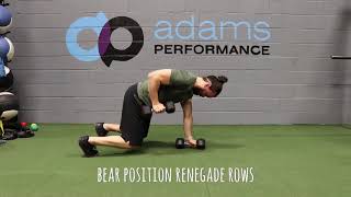 Bear Position Renegade Rows
