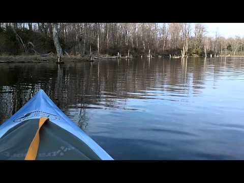 Spring Kayaking: Ducks Taking Flight