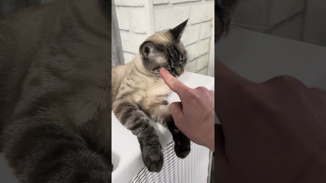 2 февраля 2026 г.