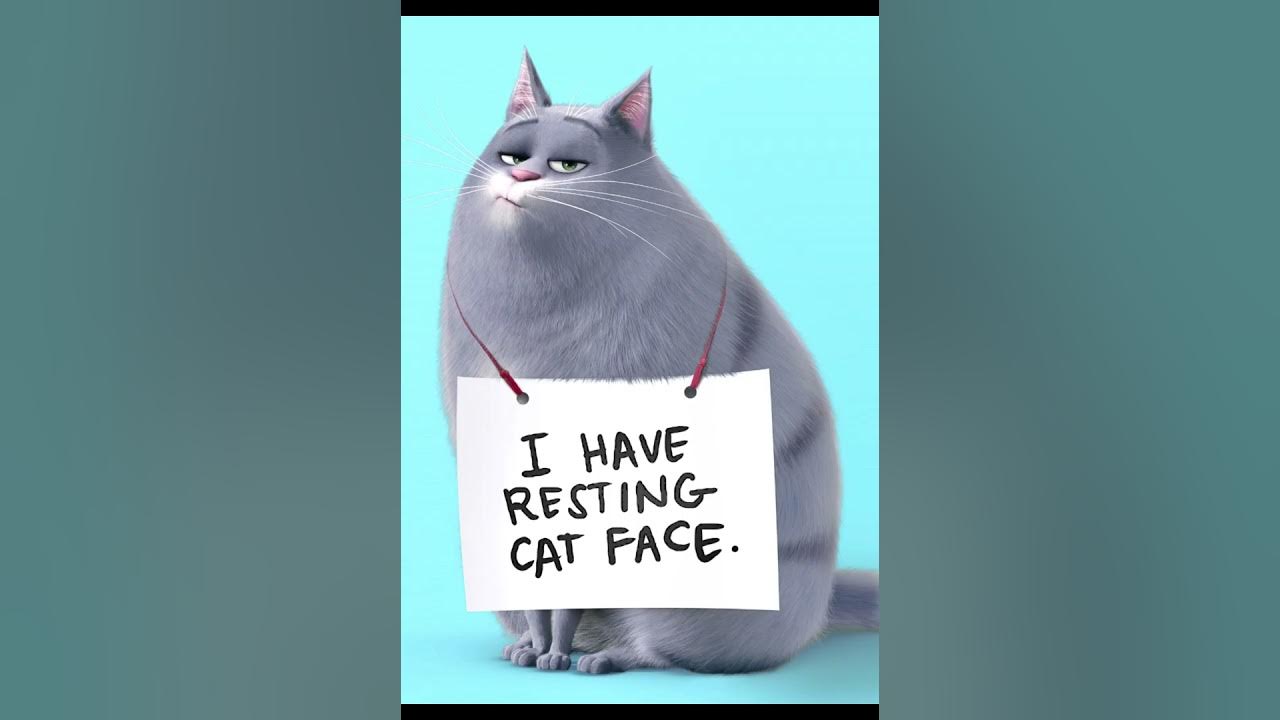 Pictures to Draw & Paint for my Family YouTube