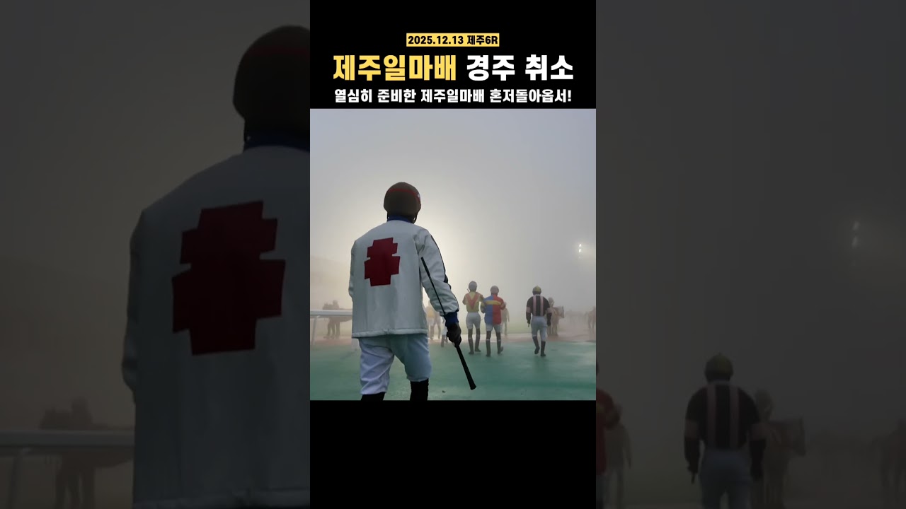 제주일마배 안개로 인한 경주취소 #제주일마배 #경마 #안개