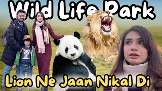 Biggest ZOO In CHINA 😱 Khatarnak Lion Ne Hamari Jan Nikal Di 😰Pehli Bar Panda Dekha 🐼 SidraMehran