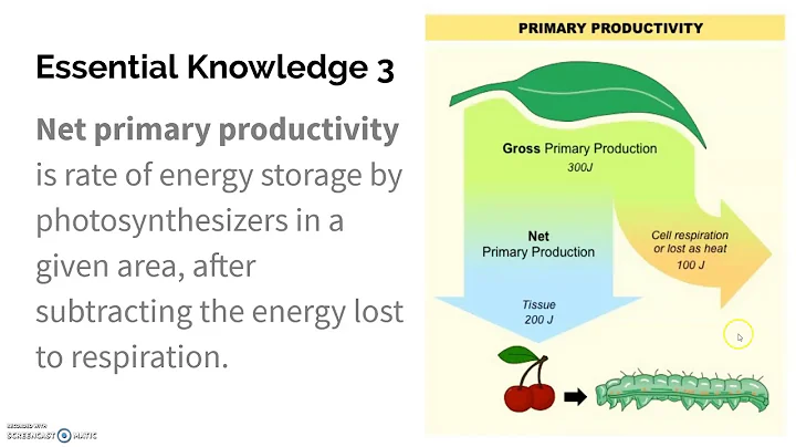 1.8 Primary Productivity