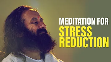 Take a Stress Reduction Break and Meditate: 20 Minute Guided Meditation with Gurudev