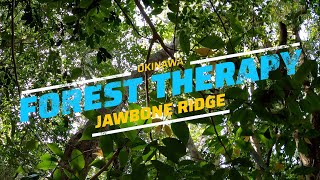 Okinawa Forest Therapy Pt.2 - Jawbone Ridge