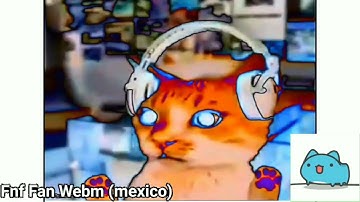 preview 2 numa cats render pack collection