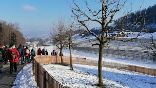 Pro Senectute Aargau, Wandergruppe Bezirk Muri, 13. Januar 2022