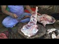 Amazing Mutton Cutting | Fastest Freh Goat Meat processing by professional butcher 2020