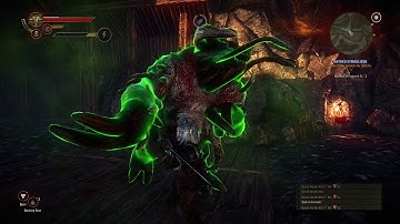 The Witcher 2 Assassins of Kings: Chapter 2,  Hatred Symbolized