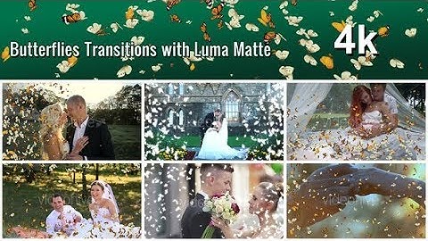 Butterflies Transition with Luma Matte – 7 Variations | Motion Graphics - Videohive template