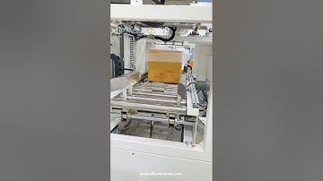 Automtic bag in box machine bag feeding into carton box equipment