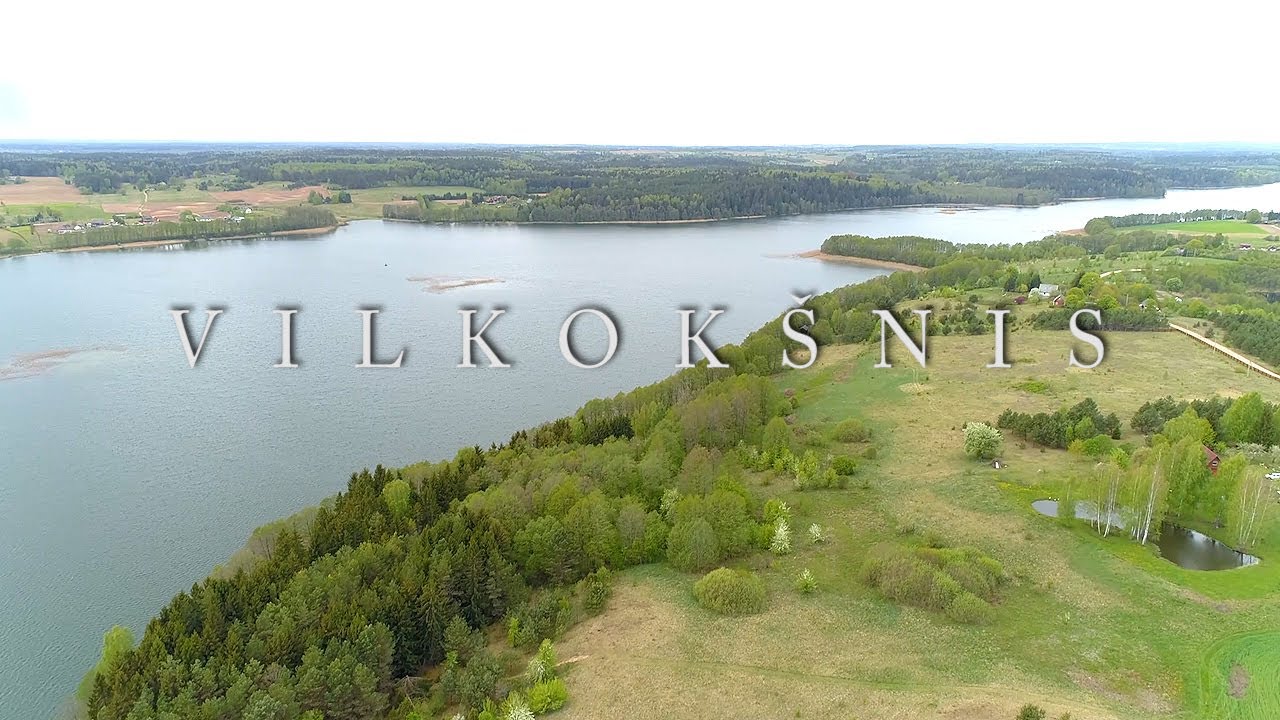 Žemės ir laiko prakalbinimas 2019. VILKOKŠNIS