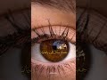 أجمل ما قيل في غزل العيون البنية Fyp Capcut شعر غزل عيون غزل العيون قصايد تصميمي حب أجمل ما قيل في غزل العيون البنية Fyp Capcut شعر غزل عيون غزل العيون قصايد تصميمي حب
