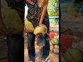 Coconut cutting skills using a dangerous spear #shorts