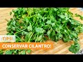 Como CONSERVAR CILANTRO fresco ☘☘ [POR MUCHO TIEMPO] | Tips!