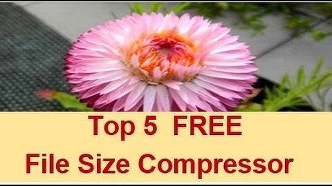 Top 5 File Size Compressor - 2017 - Swiss Made Software - Reduce FILEminimizer - balesio AG