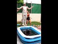 5000 mentos vs pool of coke  shorts