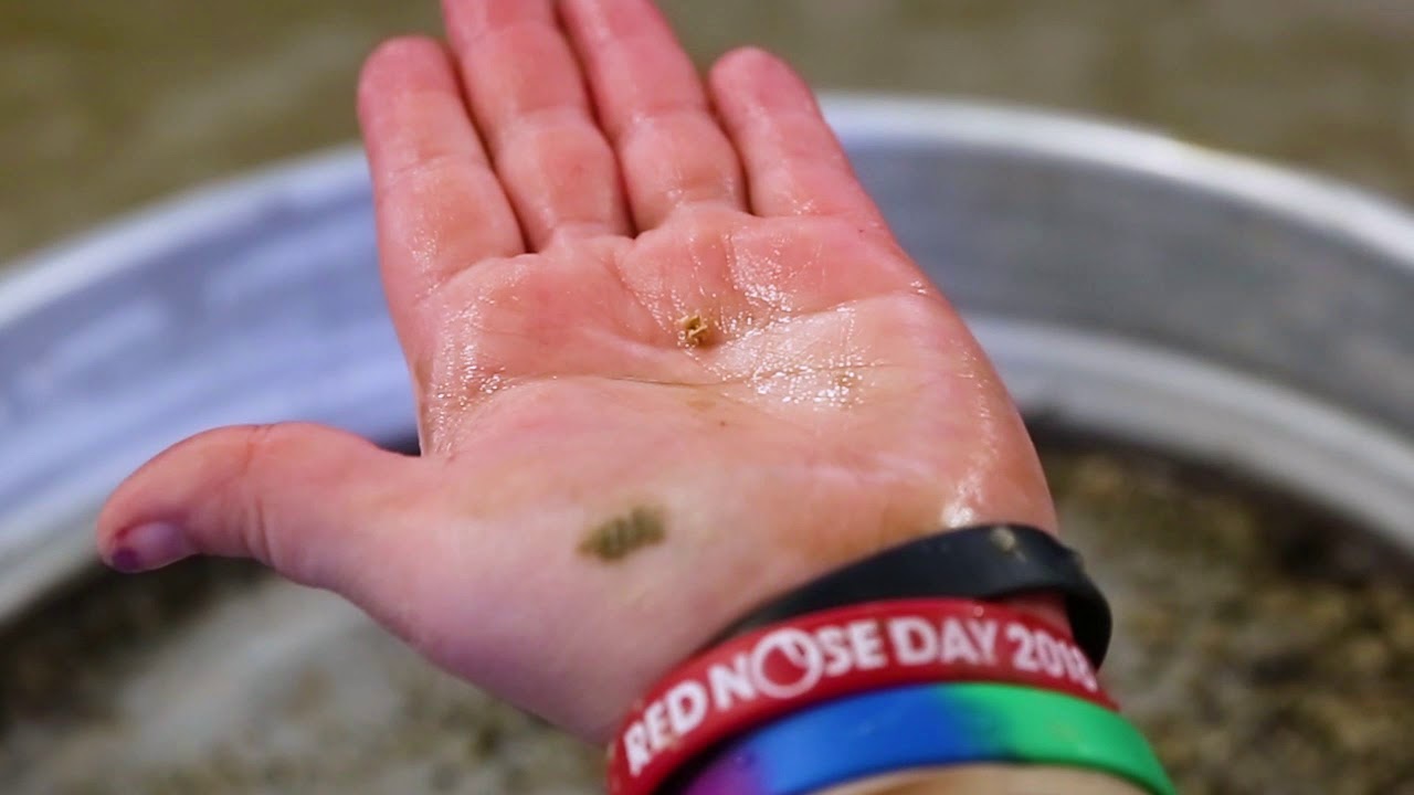 Wet Screening for Fossils | Knowledge Nook