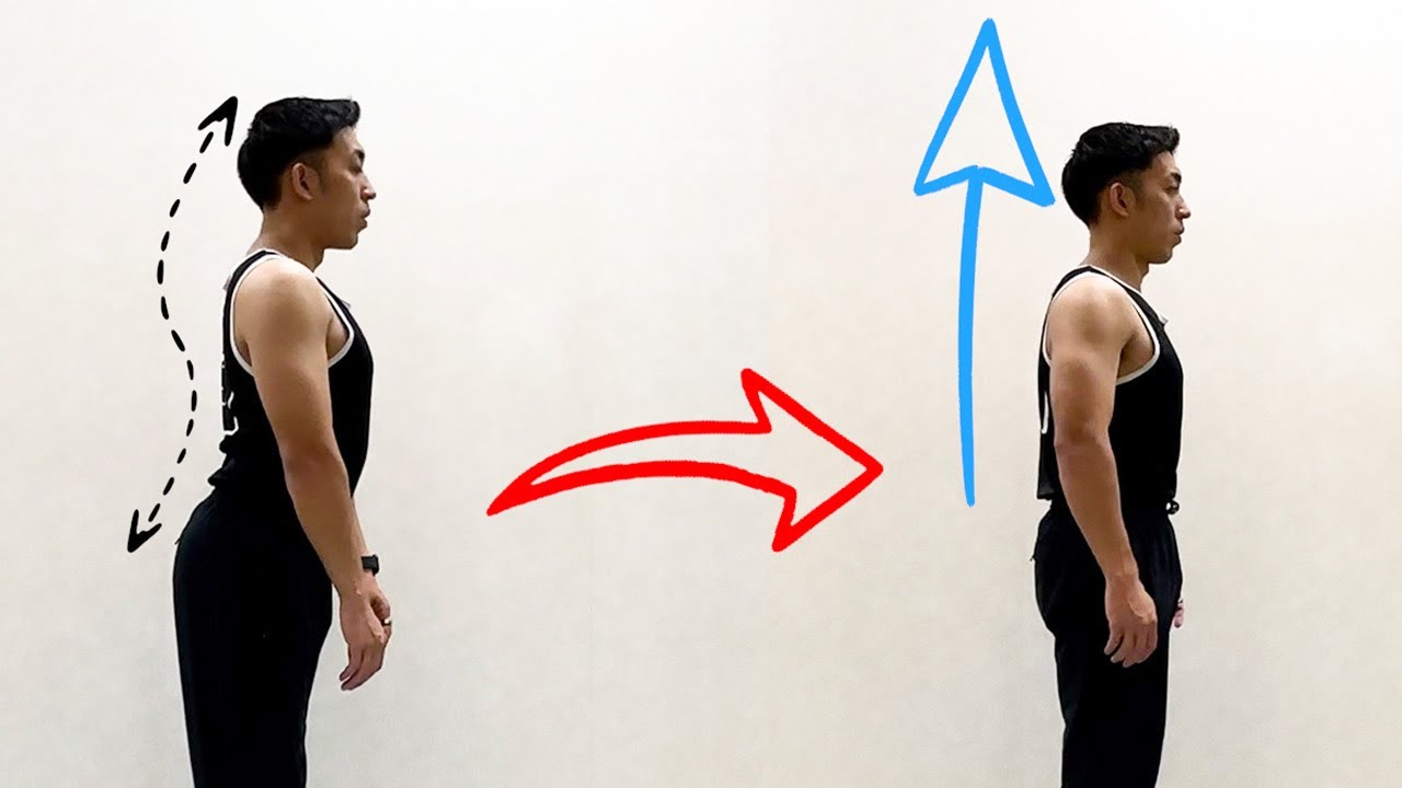 【反り腰改善】ストレッチと筋トレで早期改善! - YouTube