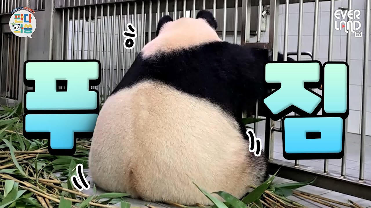 (영상매우김) 오늘 웃긴 포인트 너무 많음 ㅋㅋㅋㅋㅋ｜