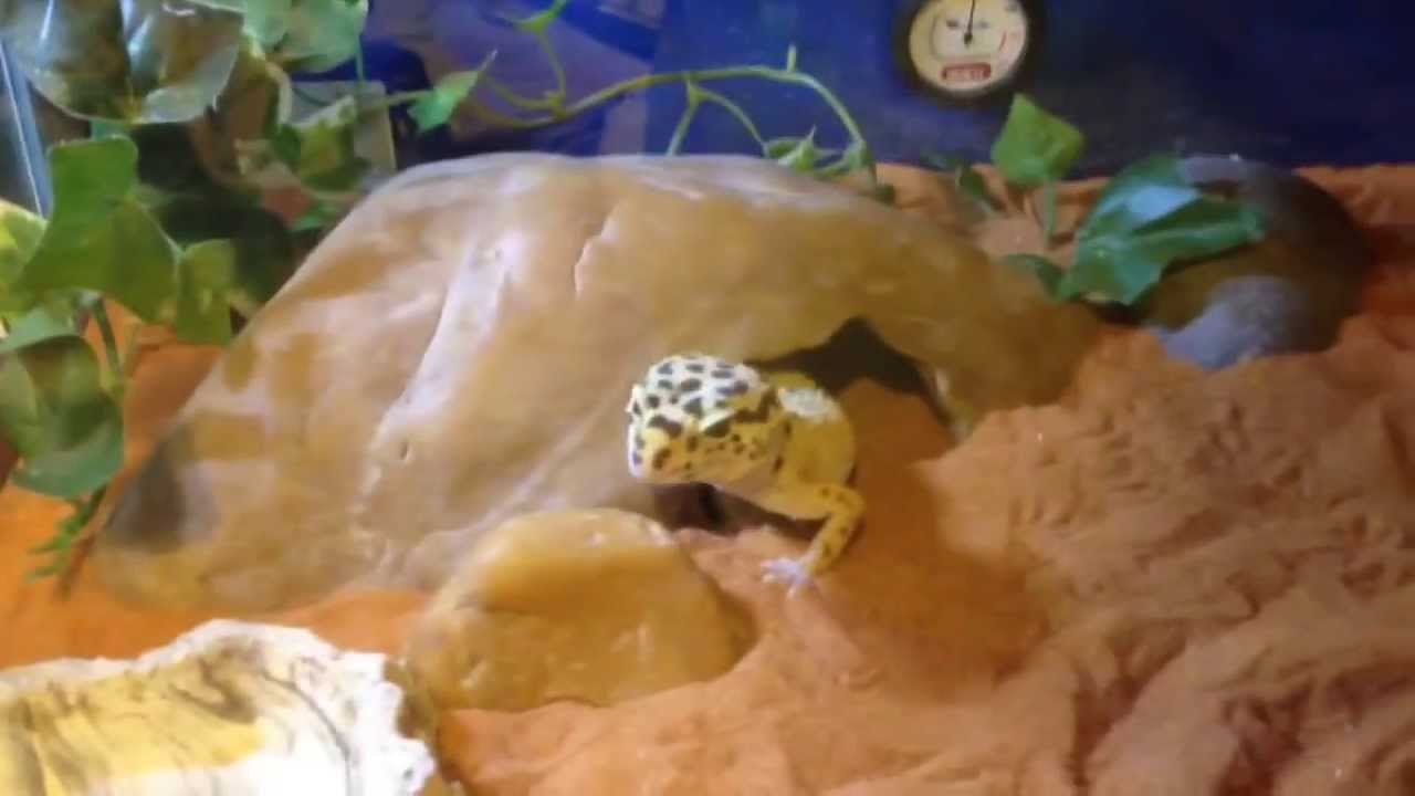 birthday wishes Happy 4th birth day 