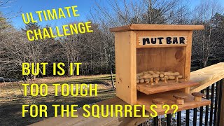 The Ultimate Squirrel Feeder   But is it Too Tough?