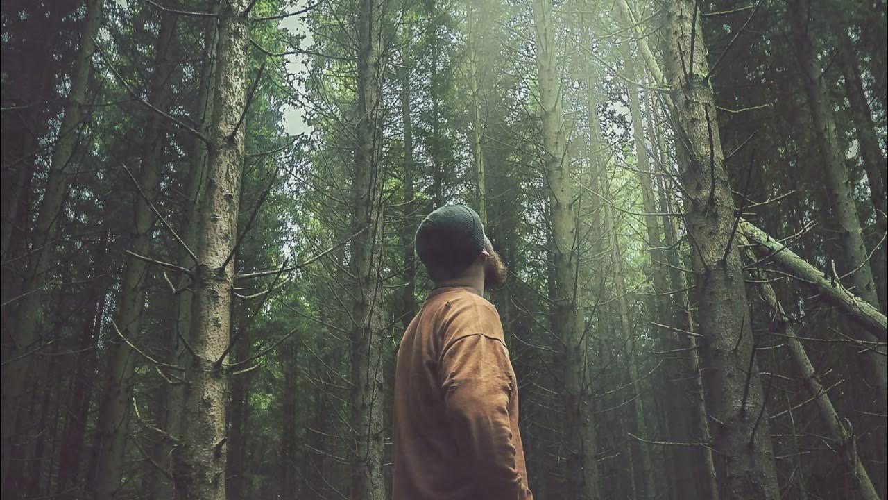 Человек идет в лес. Человек в темном лесу. Тропинка уходит в лес. Человек один в лесу. Человек идет по тропинке.