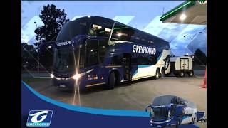 Vlog Bus Trip Pretoria To Port Elizabeth Ii Greyhound Premium