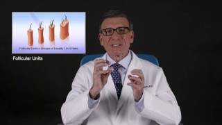 Dr. Bernard Nusbaum Answers FAQs About Hair Transplant Surgery
