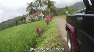 Adventure Ride To Sukamade Turtle Beach