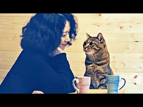 [猫も夢を見る]　寿三郎が綺麗な人の家に招かれて一緒にホットミルク頂いた　美味しかった、夢だったけど