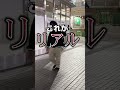 立ちん◯って本当に存在するんだ。#shorts #歌舞伎町