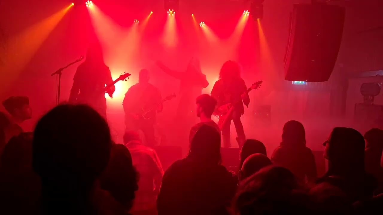 Netherbird - Void Dancer (live)