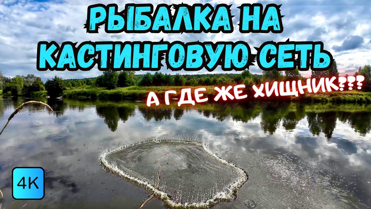 А ГДЕ ЖЕ ХИЩНИК??? РЫБАЛКА НА КАСТИНГОВУЮ СЕТЬ🕸️