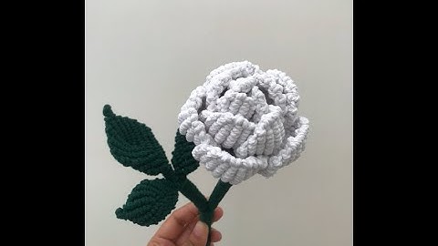 DIY Macrame Rose Tutorial: Step-by-Step Guide!!