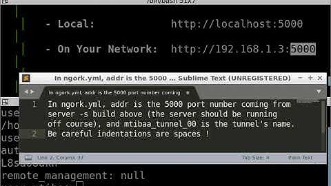 Video on webhook with ngrok