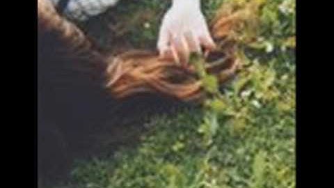 aspidistrafly　「Candlescape」