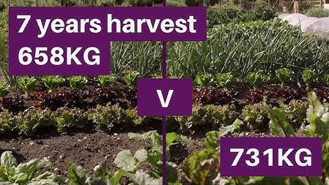 No dig compared to dig, a win for easy and timesaving