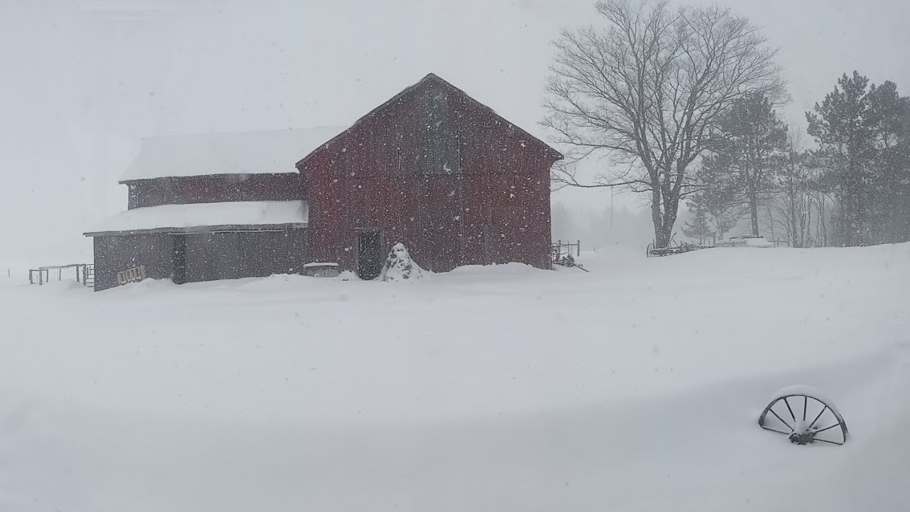 Chores on the Homestead in a snow storm - YouTube