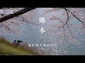 【熊本vlog】桜と海と、カフェとバーと。春の宇土で過ごす、静かなひととき