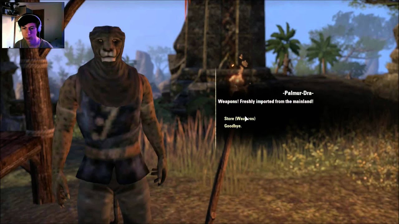Elder Scrolls Online Lets Play ep 9 part 1 The Good Feeling - YouTube
