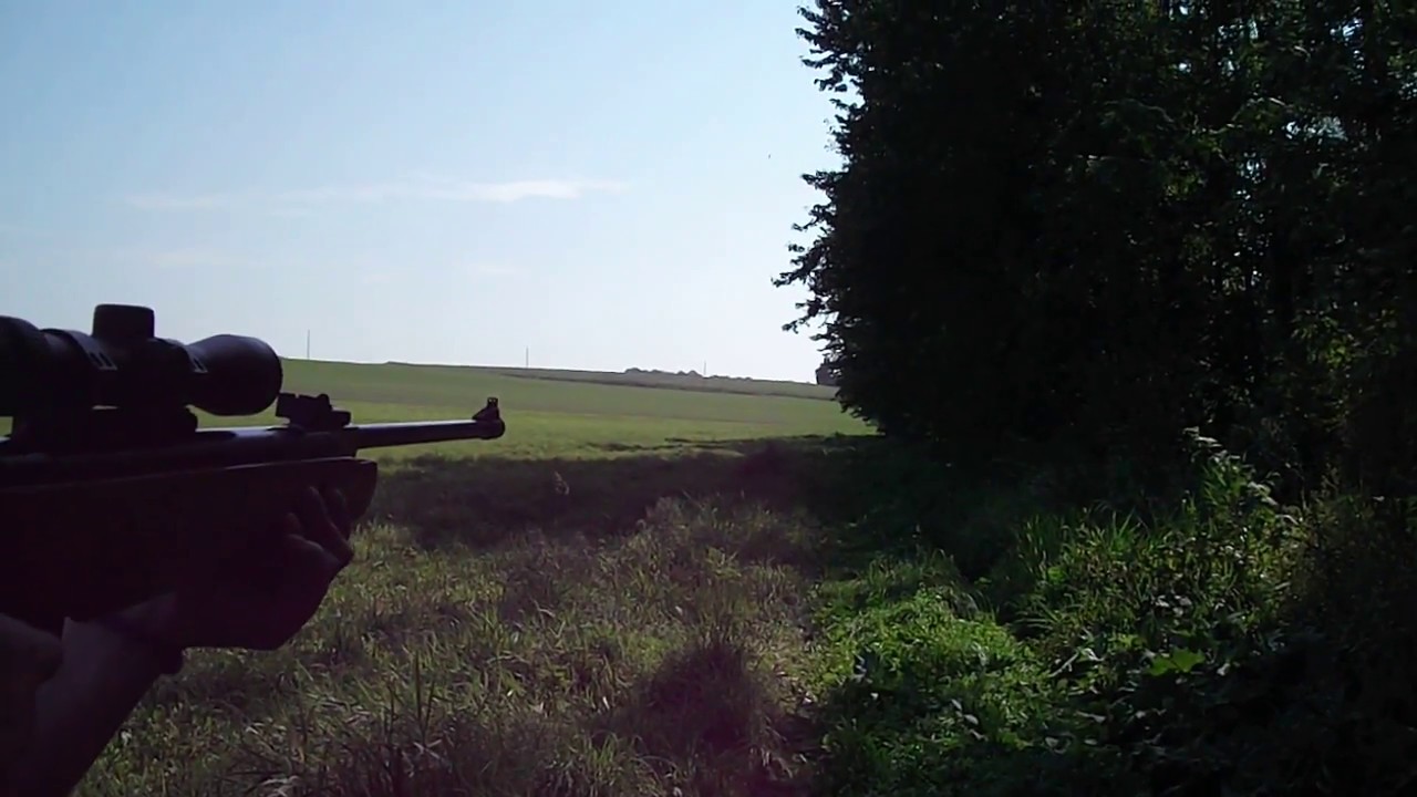 Crosman Storm XT YouTube