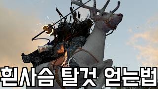 순백의 사슴 타는법, 위치, 탑승 후기 [붉은사막]