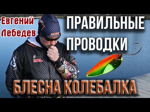 Блесна колебалка, правильные проводки. Ответы на вопросы подписчиков Е. Лебедева.