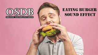 Eating Burger Sound Effect No Copyright