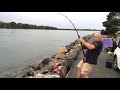 3m Bull Shark caught in North Coast River (NSW)